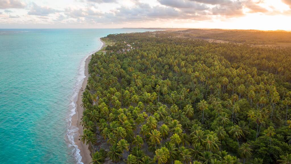 praia em Alagoas representando o Salinas Maragogi ou Japaratinga