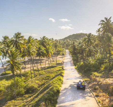 área verde perto da praia representando para onde viajar em julho