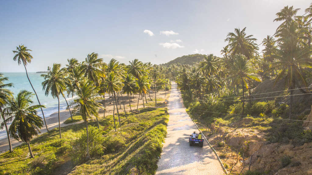área verde perto da praia representando para onde viajar em julho