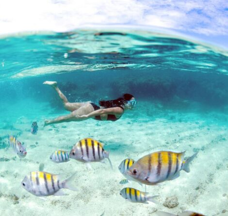 pessoa praticando mergulho em Maragogi
