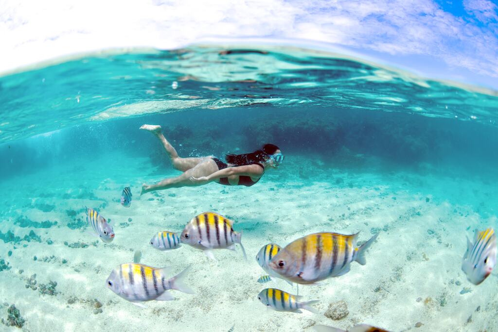 pessoa praticando mergulho em Maragogi