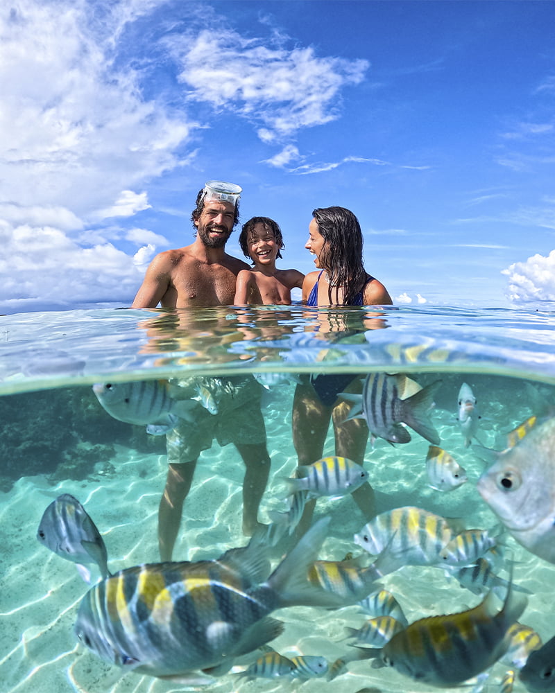 Família aproveitando as piscinas naturais de Taocas em Maragogi Família sorridente rodeada de peixes coloridos nas piscinas naturais de Taocas, em Maragogi, Alagoas.