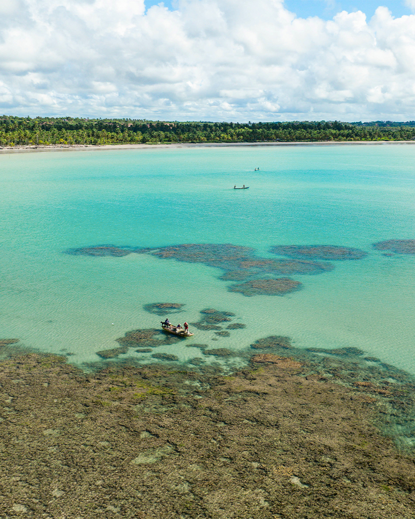 piscinas naturais paripueira Vista aérea das piscinas naturais de Paripueira, com recifes de corais visíveis por águas cristalinas, uma jangada com pescador e ao fundo a vegetação densa da praia.