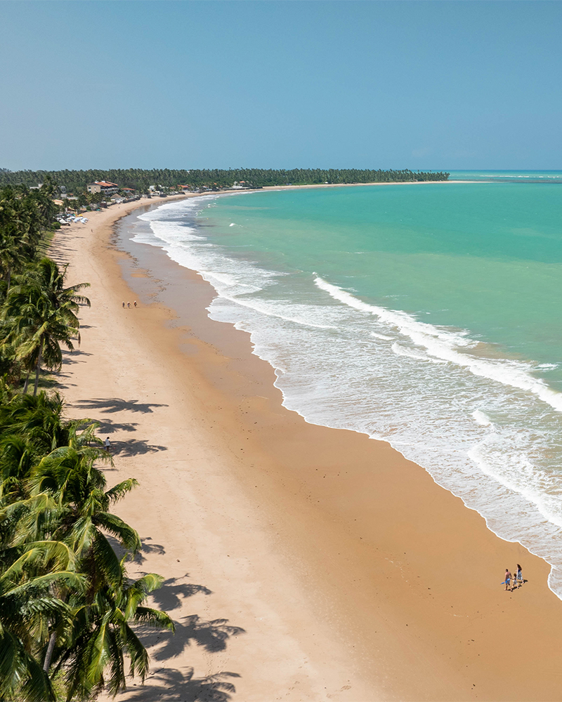 O contato com a natureza na Praia de Ipioca é inesquecível Vista da praia de Ipioca com areia clara, cercada por um denso coqueiral. O mar é de um azul-turquesa intenso, com ondas suaves quebrando na beira. Uma família caminha na areia.