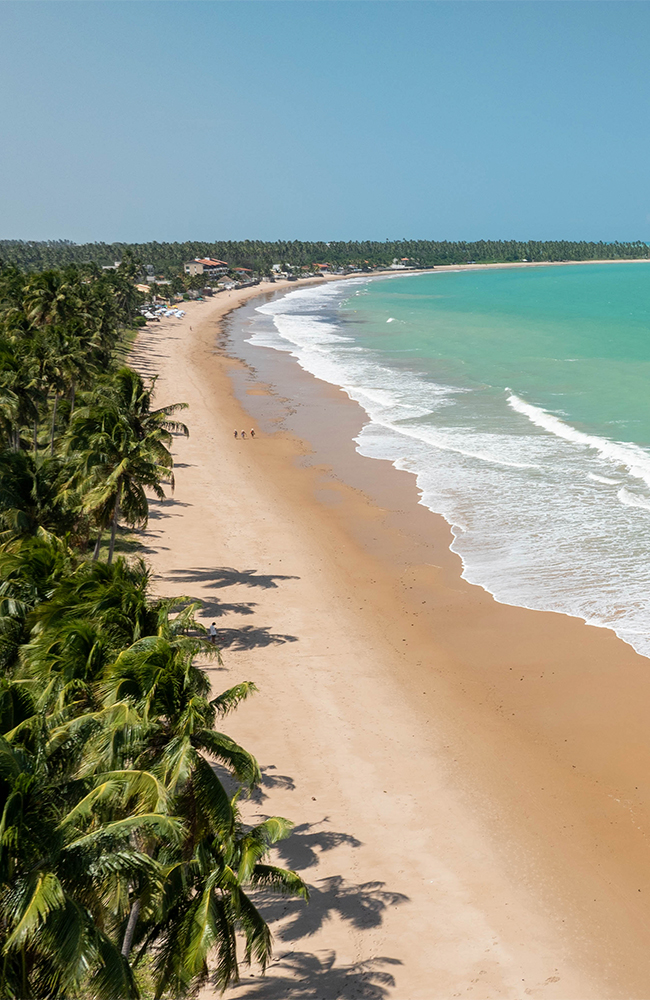 O contato com a natureza na Praia de Ipioca é inesquecível Vista da praia de Ipioca com areia clara, cercada por um denso coqueiral. O mar é de um azul-turquesa intenso, com ondas suaves quebrando na beira. Uma família caminha na areia.